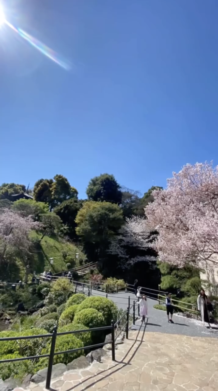 スクリーンショット 2025-04-18 15.02.01.png